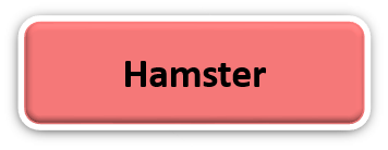 modèle hamster.png