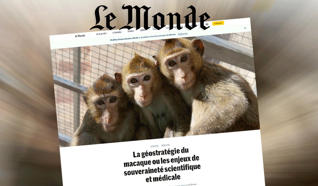 Le-monde-macaques.png